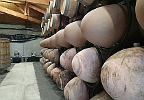 Sandsteineier bei Chateau La Baronne