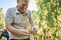 Ludwig Knoll vom Weingut am Stein Würzburg