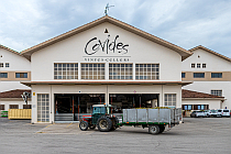 Bodegas Covides im Penedés