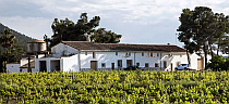 Weingut Pago Casa Gran