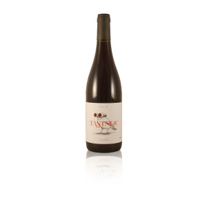 Bio Rotwein Pago Casa Gran TASTNOU Syrah mit wenig...