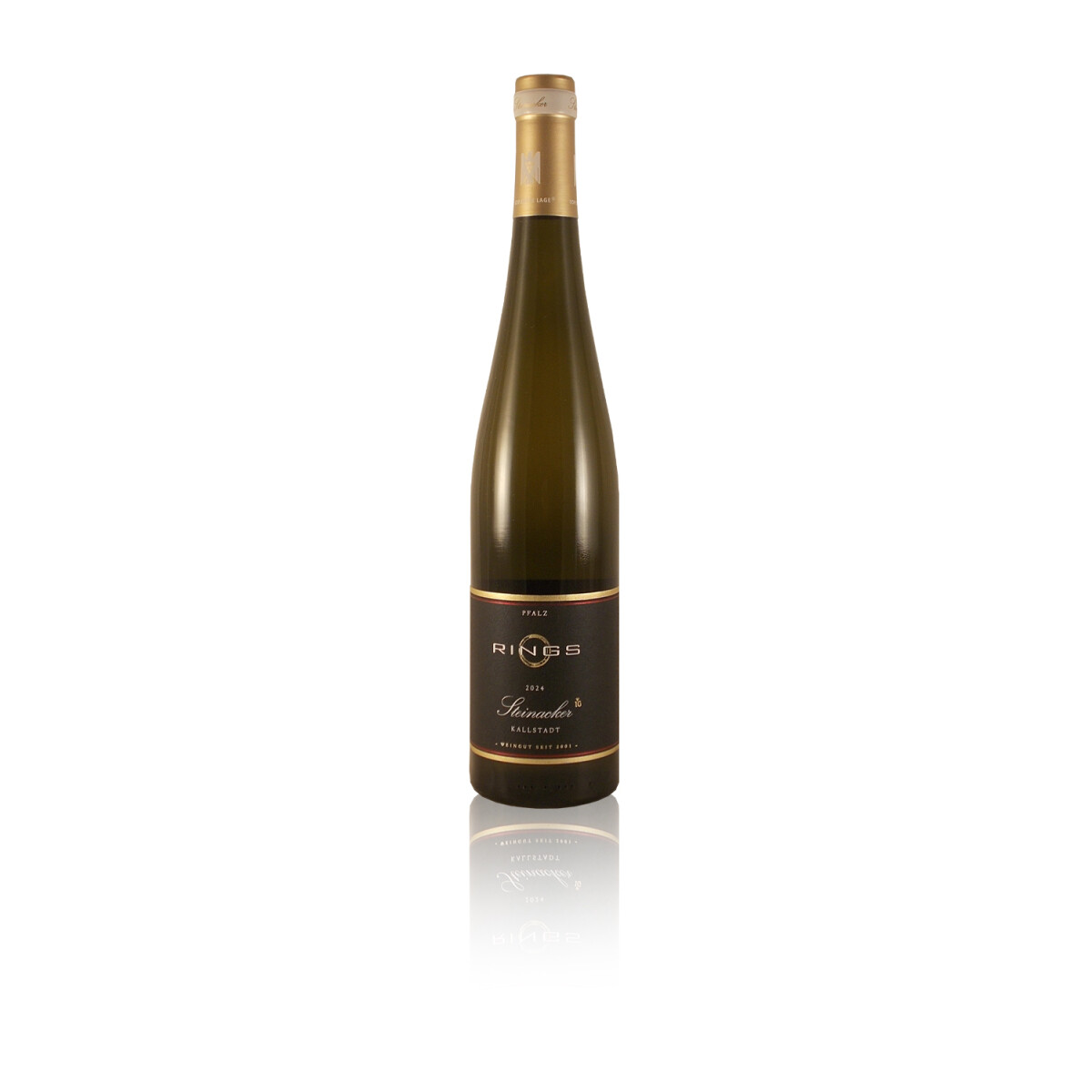 Rings Riesling Kallstadter Steinacker VDP Erste Lage Pfalz 2024 trocken