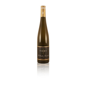 2024 Rings Riesling Kallstadter Steinacker VDP Erste Lage...
