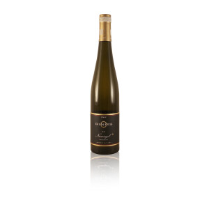 2024 Weingut Rings Riesling Ungsteiner Nussriegel...
