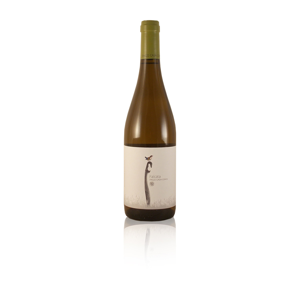 Bio Rotwein Pago Casa Gran TASTNOU Syrah mit wenig Alkohol Rotwein Spanien Valencia