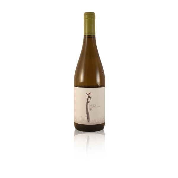 Bio Rotwein Pago Casa Gran TASTNOU Syrah mit wenig Alkohol Rotwein Spanien Valencia