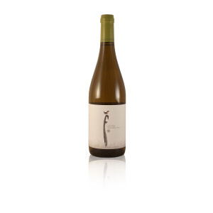 Bio Rotwein Pago Casa Gran TASTNOU Syrah mit wenig...