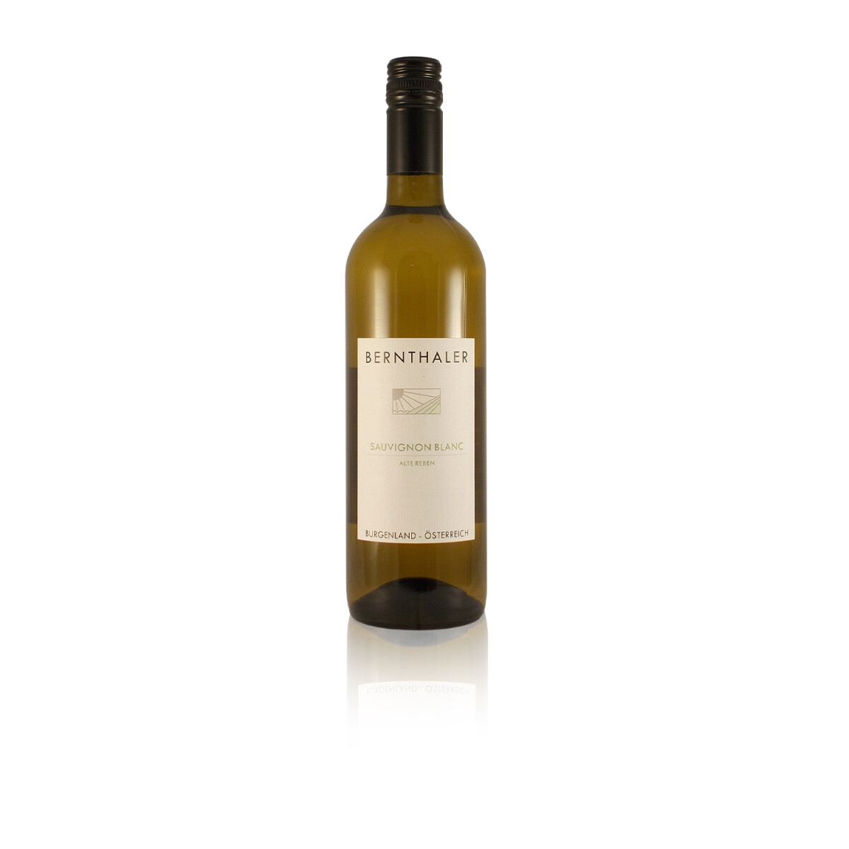 Bernthaler Sauvignon Blanc histamingeprüft (unter 0,1 m