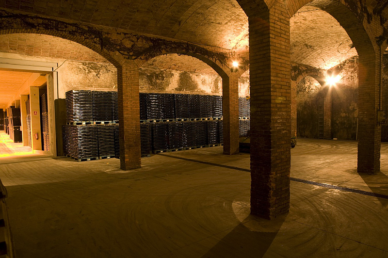 alte Reifekeller unter der Bodegas Covides im Penedes