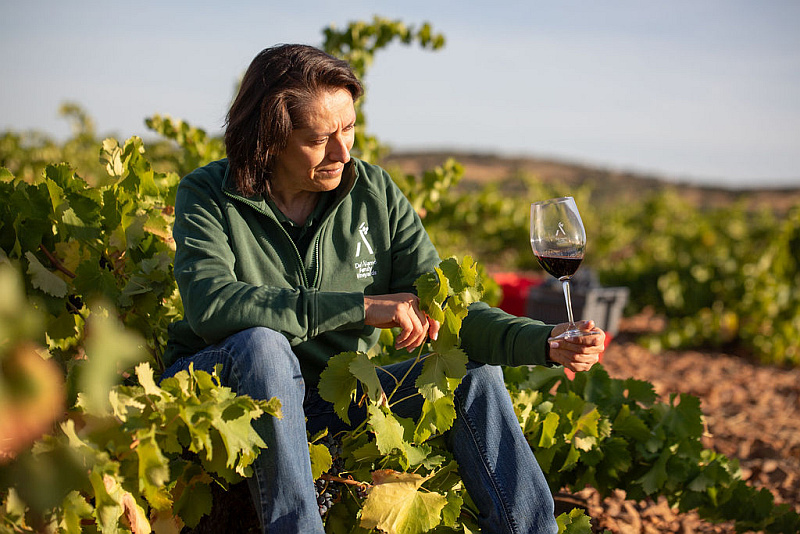Blanca Muro in den Bioweinbergen von Del Alamo Family Vineyards