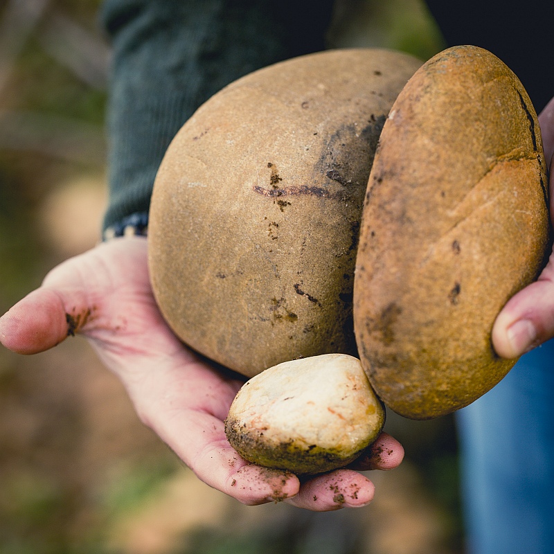 Galets roulés Galets roulés