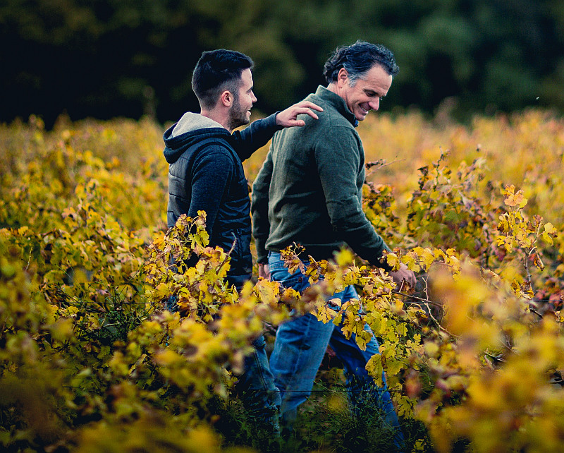 Jerome und Tanguy im Herbstweinberg Chateau l'ermite de Auzan