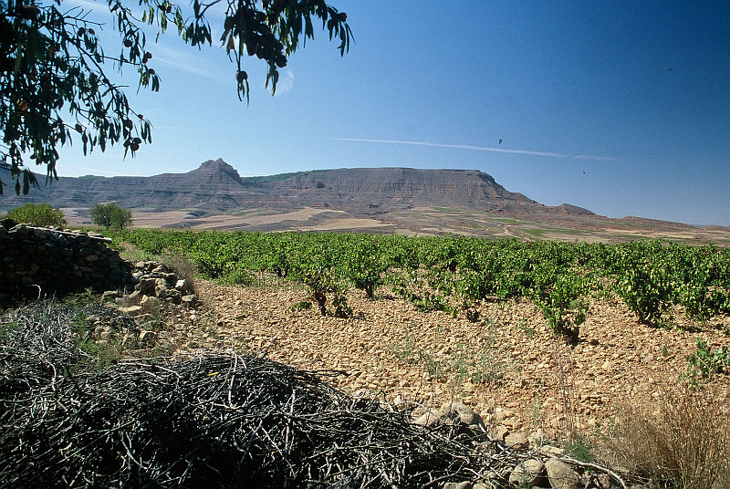 Bodegas Langa Hochland von Aragonien Zargossa Weinberge Bodegas Langa Hochland von Aragonien Zargossa